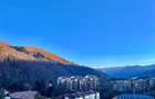 Studio Green Future Sinaia | Piscină & SPA - 8