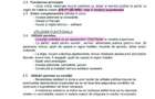 Remetea Mare - teren locuinte colective si servicii - toate utilitatile - 5