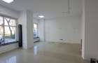 SPATIU COMERCIAL STRADAL- COMISION ZERO - 17