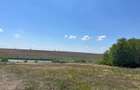 Teren de vanzare langa lac | FRASINET | Com Ostrovu - 1