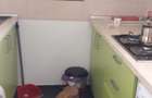 Garsoniera Gara de Nord/ Pret Usor Negociabil/ Pet Friendly - 6