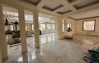 PROPRIETAR - TEREN STRADAL 25000 MP, PIPERA, DRUMUL NEGRU, VILĂ 1OOO MP UTILI  - 9