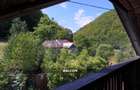 Sub padure, casa si teren de vanzare in Baia Mare - 23
