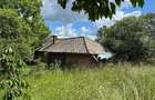 Casa de vanzare l Dangau Mare l 3135 MP Teren - 16