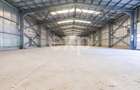 Hală industrială 950 mp utili de închiriat | Calea Moinești | Acces TIR - 7