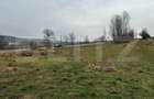 Teren extravilan 6200mp zona Rahau - 1