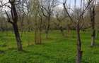 Vanzare casa Fieni - Runcu - 11