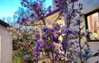 Casa individuala armonioasa -7 camere  -Corbeanca, str. Iepurasului - 63