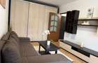 Apartament 2 camere zona Drumetului-Stadion Ghencea - 3