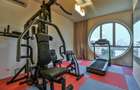 AVIATIEI  HERASTRAU,PENTHOUSE, 4 CAMERE, 258 MP, TERASA 110 MP, PANORAMIC VIEW - 34