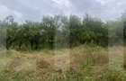 Teren cu potențial rezidențial – Simeria Veche, Sfântu Gheorghe - 5