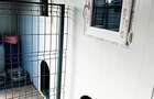 Casa individuala de vanzare cu priveliste frumoasa si garaj - 15