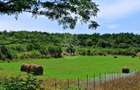 Parcele teren 4038 mp - Parcelabil - Zona Valea Stanelor - 1