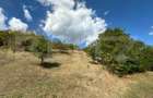 Teren intravilan, 2.700 mp, zona Viisoara - 3