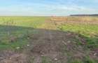11 loturi de 507 mp (cota drum inclusa) – Strada Traian, Vadu Anei - 4