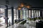 Vanzare spatiu comercial/restaurant/afacere la cheie  Nordului - Herastrau Parc, - 2