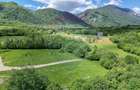 Teren 500mp Tohanita (intre castelul Bran si Zarnesti), padure + parau - 13