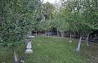 Moreni , Dambovita , vanzare proprietate -casa si teren - 20