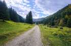 Teren intravilan panoramic 4.600 mp, view iconic Piatra Craiului, oportunitate P - 2
