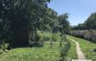 Casa 6 camere, cu teren 1160 mp, Dambul Rotund