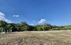 RECO Teren intravilan in Betfia, 1001 mp, front 18.30 ml la asfalt - 4