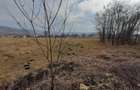 Teren intr-o  zona frumoasa, linistita , Valea Fanatelor, zona cu case - 4