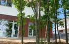 2 VILE SITUATE IN PARADISUL VERDE - 3
