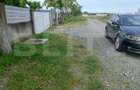 Teren intravilan 2500mp, Malu Mare! - 1