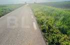 Teren 5500mp extravilan,Sat Dimoiu - 3