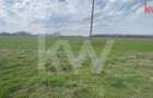 TEREN INTRAVILAN 1000 MP CARCEA - ZONA HANUL CU PONEI - 2
