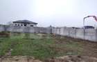 Teren intravilan, 450 mp, la strada principală, Malu Mare - 4