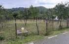 Teren 952 mp, Muereasca, la 15 min de centrul orasului Rm Valcea - 2