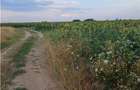 Otopeni-Str.Dr.Garii Balotesti-70.000mp-front 220ml-Ideal Investitie - 7