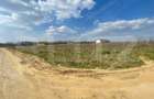 Teren 1000 mp, deschidere 23,80m, zona Selgros - 2