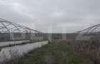 Teren intravilan agricol, sere, anexa agricola, 11500 mp teren, Sopot - 4