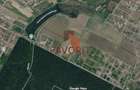 Teren de vânzare Dumbrăvița,lângă Pădurea Verde | Toate utilitatile - 3