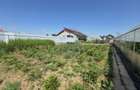 Proprietate 2.229 mp cu Dotări pentru Afacere Florală - 13