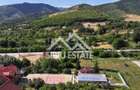 Teren Intravilan 650 mp de Vanzare in Tocile - 2