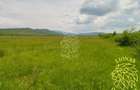 Teren 13100 mp-parcelabil-ideal cabana/agricultura-Orheiul Bistritei - 4