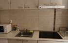 Apartament 1 camera Pet Friendly Calea Motilor - 5