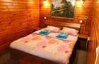 Casa cu destinatie multipla, teren de 1560 mp,  piscina,  Feleacu - 29
