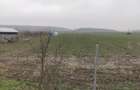 De vanzare casa in Argetoaia cu teren 7.000 mp - 5