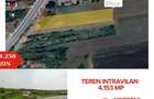 Teren intravilan - 4.153 mp, Negreni - Olt - 1