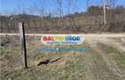 Vindem teren intravilan Calinesti 845 mp , deschidere 13,5 m