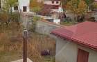 Vanzare Casă / Vilă 5 camere Saftica Primarie - 9