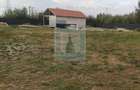Teren intravilan, 800 mp - zona Prejmer - 3