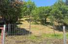 Teren Valea Doftanei, Tesila, utilitati la strada, padure in spate - 5
