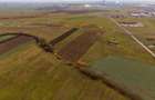 Teren intravilan de 5000 mp lângă centura Nord - 7