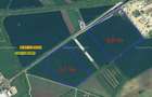Terenuri de vânzare – ieșirea din Remetea Mare spre Autostradă - 2