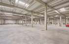 Spatii industriale de inchiriat in cadrul WDP Timisoara Park - Sag III - 6